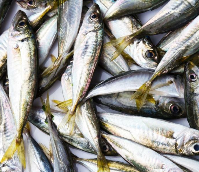 Сдам Дом У Моря โอเดสซา ภายนอก รูปภาพ